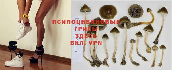 ешки Балахна