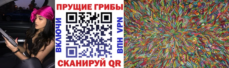 маркетплейс клад KRAKEN ONION Курчатов Галлюциногенные грибы Psilocybe
